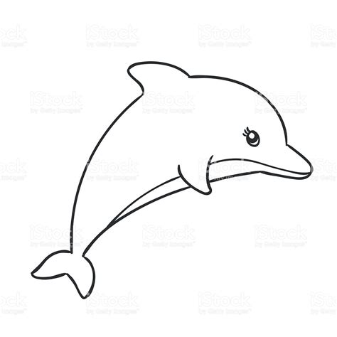 dolphin line up.